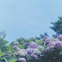 이동현