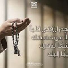 Mohamed Mody
