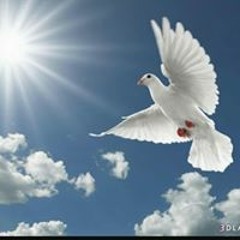 رونه