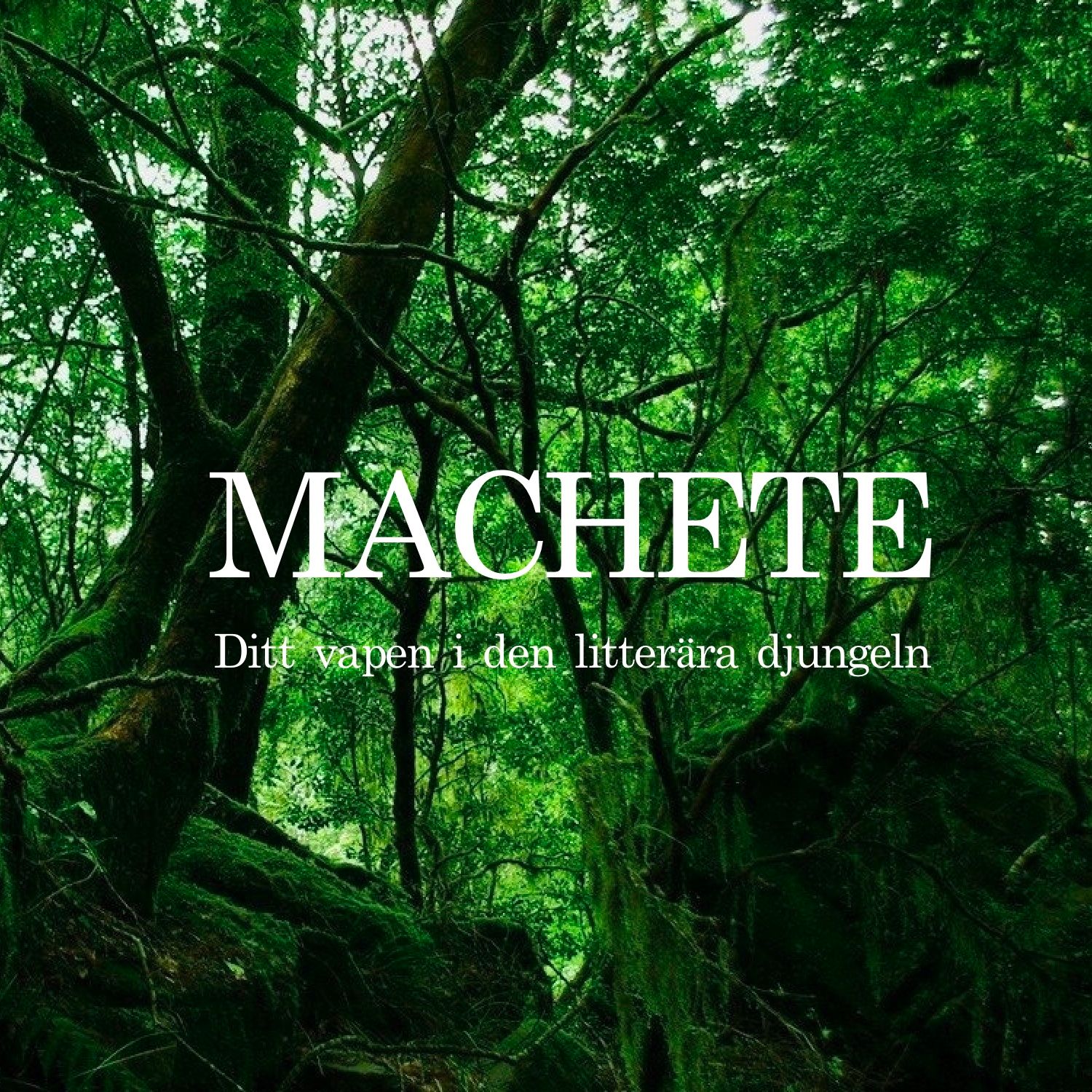 Bokpodden Machete podcast artwork
