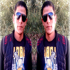 samy arida