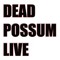 DEAD POSSUM