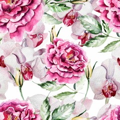 Chinese Language Learners