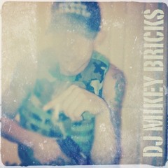 DJ MIKEY BRICKS