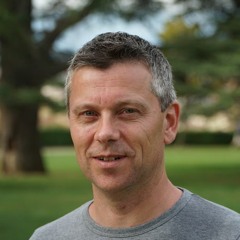 Maarten van Bree