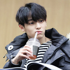 ljoe airlines
