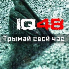 IQ48