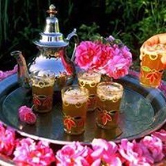 Mostafa Lotfi