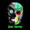 JOE TERRA