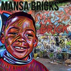 Mansa Bricks