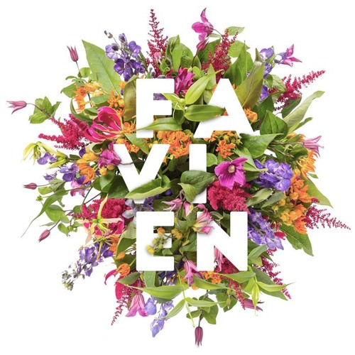 FAVIEN — artist photo