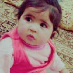 عمرو أحمد الفجال