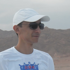 Hani Gaber