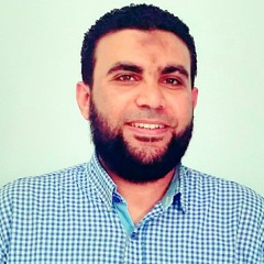 Waleed El-Demerdash