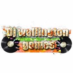 Dj Wellington Gomes