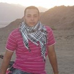 Mohamed Omar Allam