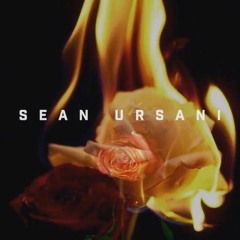 Sean Ursani