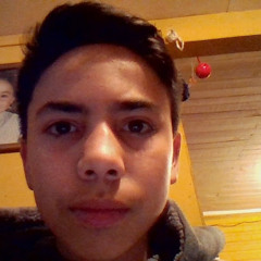 adolfro pro