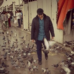 sayed abd allatif