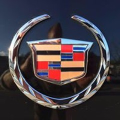 Sam Corinna Napolitan