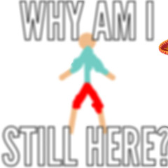 StupidStickFigureGuy