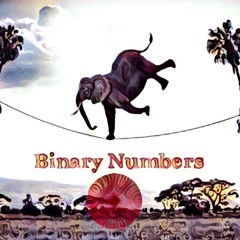 binarynumbers