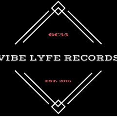 Vibe Lyfe Ent.