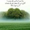 Shymaa Elsherbiny