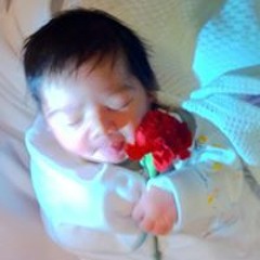 د.اميرة فهمى