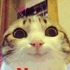 syntax error együttes (magyar)