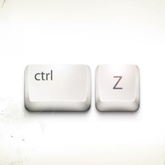 CTRL+Z UNDO KEY