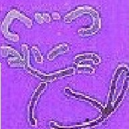 Stream Blueberry Jam music Listen to songs, albums, playlists for