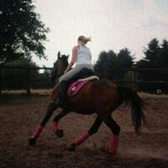 Marie-Sophie Krietsch