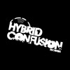 Hybrid Confusion Records