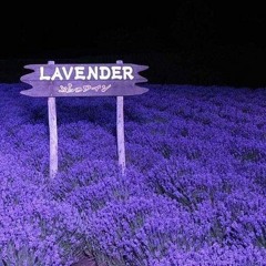 Lavender girl