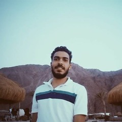 Mahmoud  Shafik