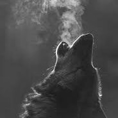 DJ WOLF