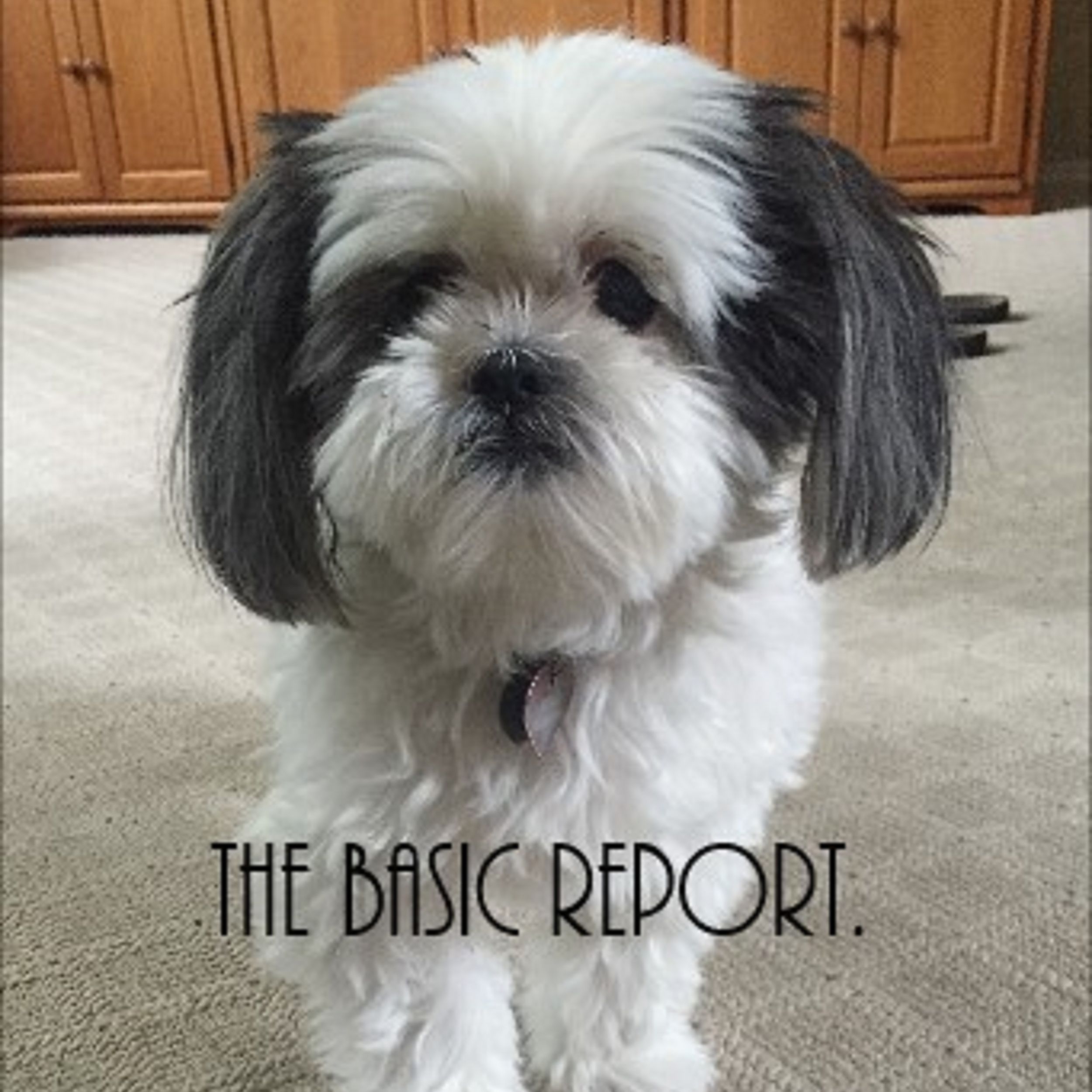 The Basic Report