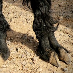 Mac˙˘ˀ˘.˜˚G.˘˘.M.¸ˍ˝˚.