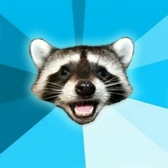 Wees The Raccoon