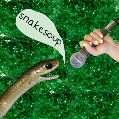 snakesoup podcast