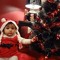 Hesham Muhammad