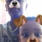 user822758501