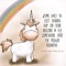 chynoweth.12