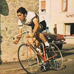 Heady Merckx