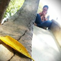 Thanh