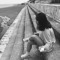 차할리