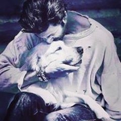 User 904000999