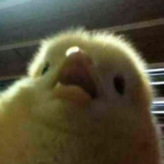 ThomasL