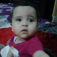 عمرو